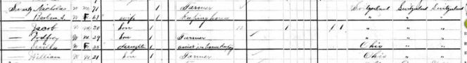 Schwartz - 1880 census detail