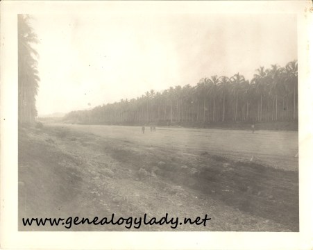 A new runway, Russell Islands, 1943
